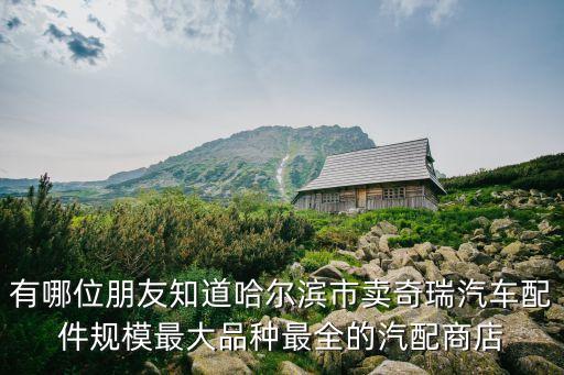 有哪位朋友知道哈尔滨市卖奇瑞汽车配件规模最大品种最全的汽配商店