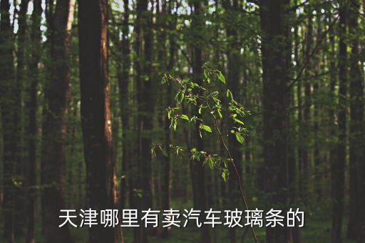 天津哪里有卖汽车玻璃条的