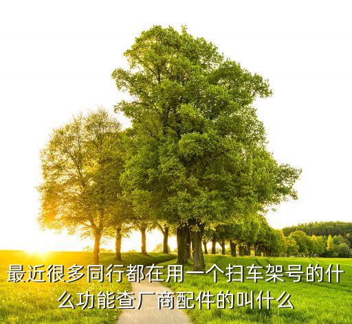 最近很多同行都在用一个扫车架号的什么功能查厂商配件的叫什么