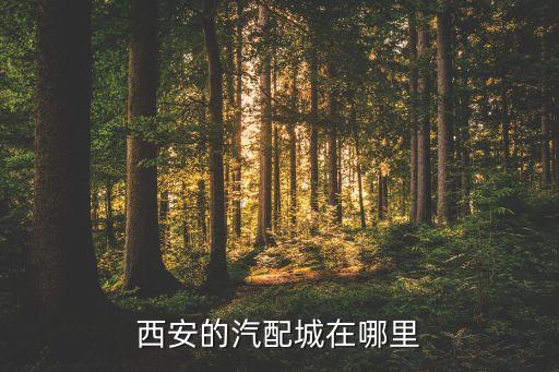 西安的汽配城在哪里