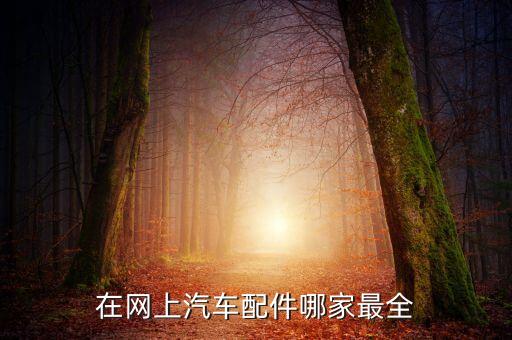 互联网汽车配件品牌，网上汽车配件商城有哪些比较好的推荐一下广州本地的最好我是