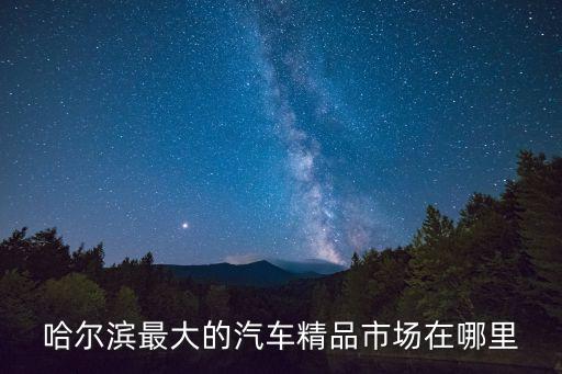 黑龙江最大汽配城，黑龙江省最大的汽车装饰配件中心在哪
