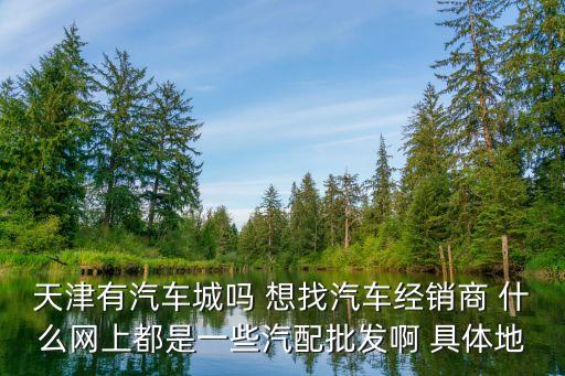 天津有汽车城吗 想找汽车经销商 什么网上都是一些汽配批发啊 具体地