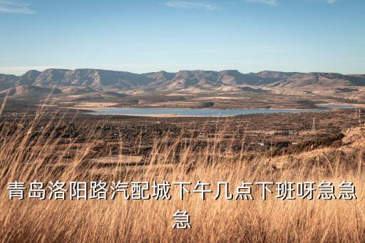 青岛洛阳路汽配城下午几点下班呀急急急