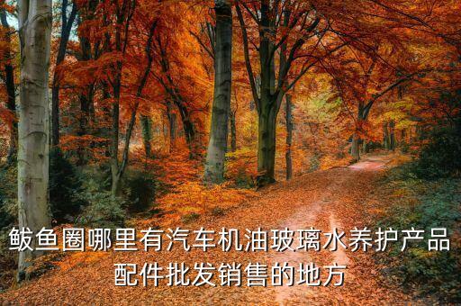 鲅鱼圈哪里有汽车机油玻璃水养护产品配件批发销售的地方