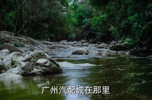 广州汽配城在那里