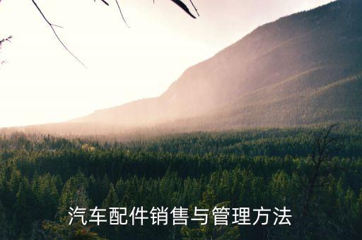 汽车配件公司经营与管理，汽车配件的管理及经营模式需要一个好的方案