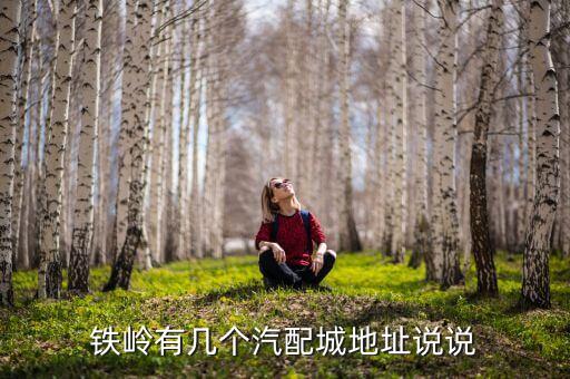 铁岭汽配城，辽宁省铁岭市有汽配城吗