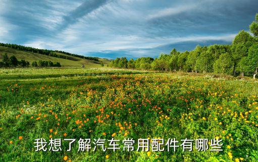 我想了解汽车常用配件有哪些