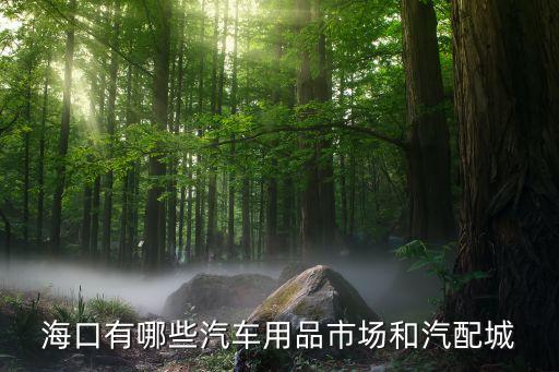 海口有哪些汽车用品市场和汽配城