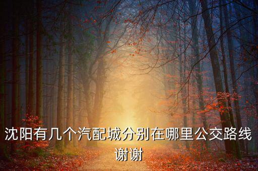 沈阳有几家汽配城，沈阳卖汽车配件的地方都有哪些
