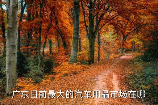 广东目前最大的汽车用品市场在哪