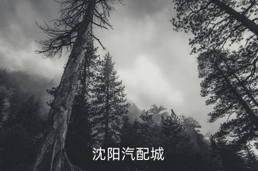 沈阳汽配城