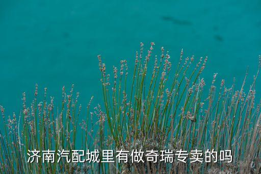 济南汽配城里有做奇瑞专卖的吗