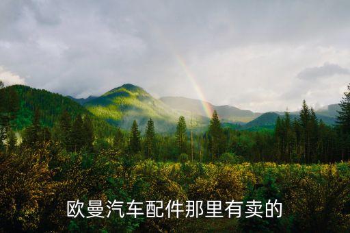 欧曼汽车配件那里有卖的