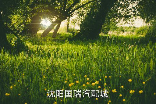 沈阳汽配城网，沈阳卖汽车配件的地方都有哪些