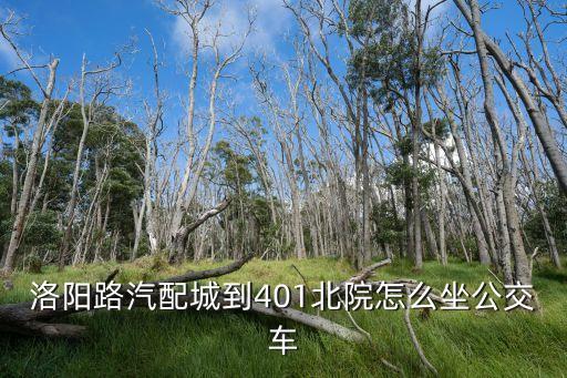 洛阳路汽配城到401北院怎么坐公交车