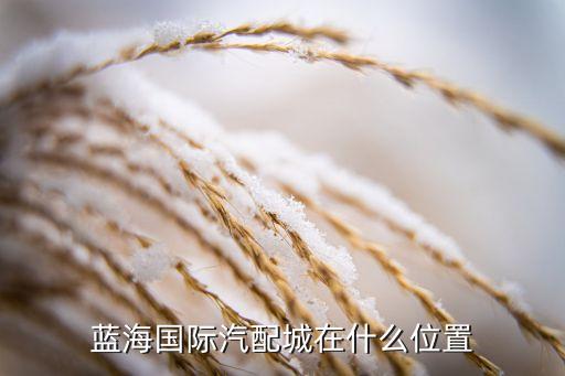 蓝海国际汽配城在什么位置