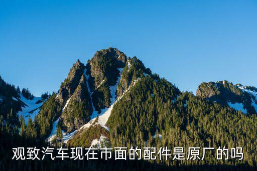观致汽车配件供应商，成都观致配件哪里卖的