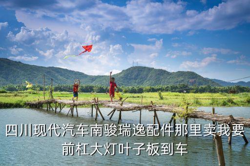 四川现代汽车南骏瑞逸配件那里卖我要前杠大灯叶子板到车