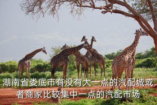 湖南省娄底市有没有大一点的汽配城或者商家比较集中一点的汽配市场