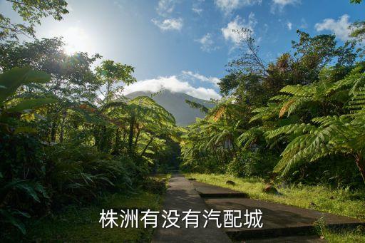 株洲有没有汽配城