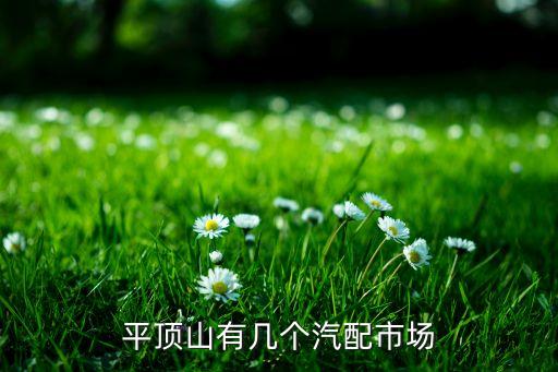 平顶山汽车配件批发市场，河南省平顶山市有没有大一点的汽配城或者商家比较集中一点的汽配市