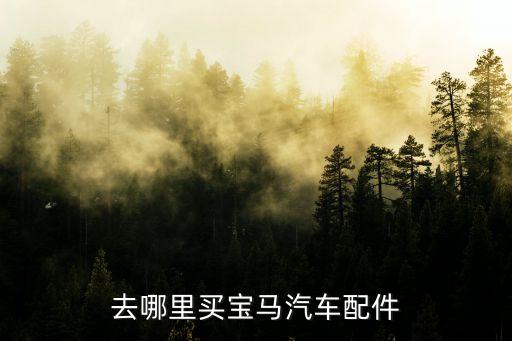 去哪里买宝马汽车配件