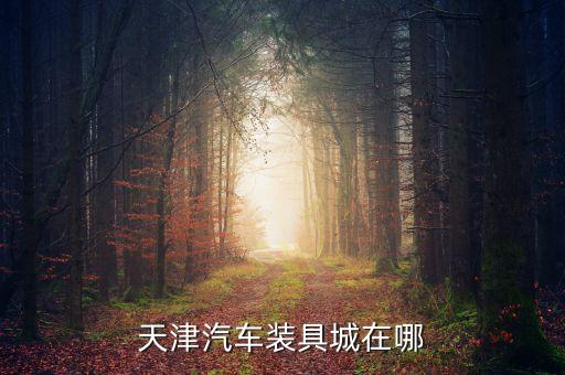 天津汽车装具城在哪