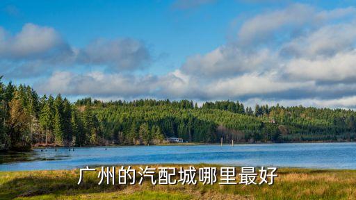 广州正心汽车配件，广州的汽配城哪里最好