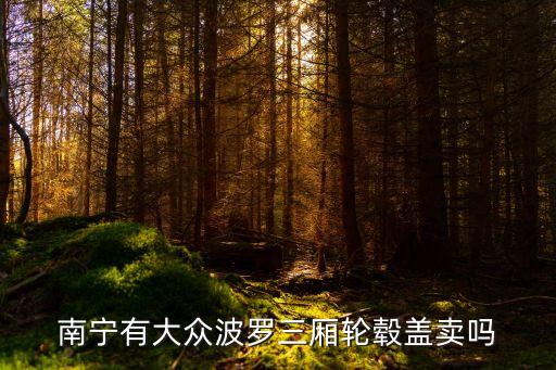 南宁有大众波罗三厢轮毂盖卖吗
