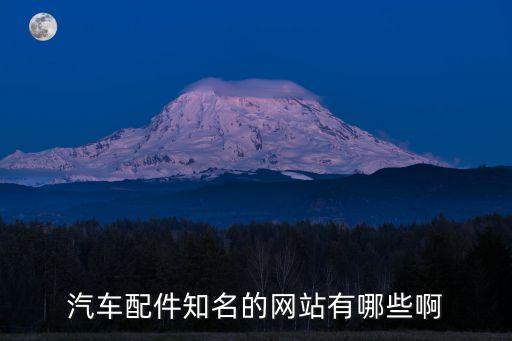 汽车配件知名的网站有哪些啊