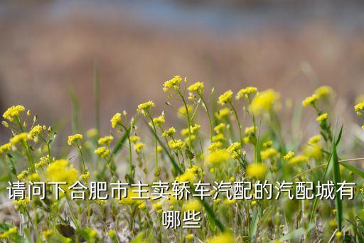 全国汽车配件交易会合肥，请问安徽省合肥市有几家大点的汽车配件城那种专门卖皮卡Suv车