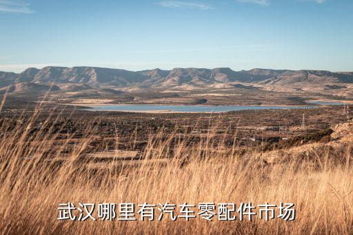 武汉哪里有汽车零配件市场