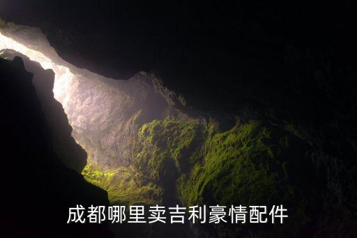 成都哪里卖吉利豪情配件