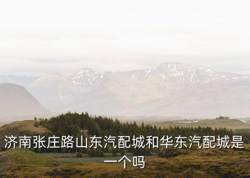 济南张庄路山东汽配城和华东汽配城是一个吗
