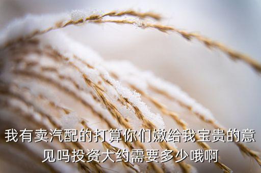 我有卖汽配的打算你们嫩给我宝贵的意见吗投资大约需要多少哦啊