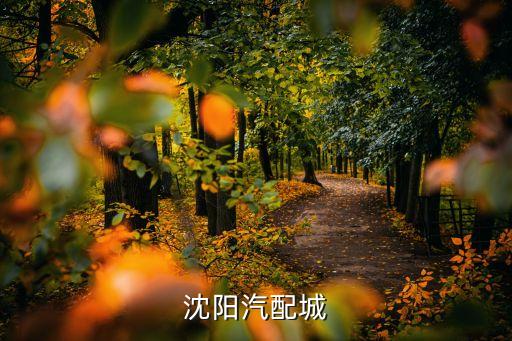 沈阳西部汽配城别克，沈阳卖汽车配件的地方都有哪些