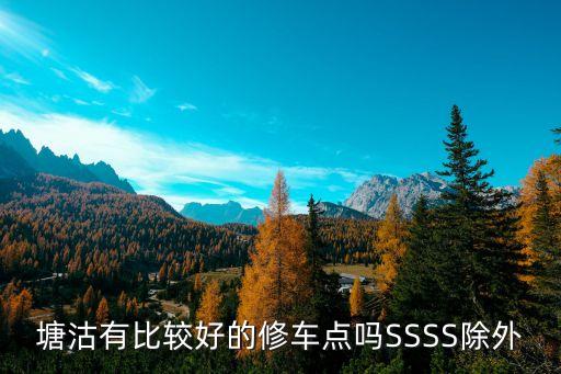 塘沽有比较好的修车点吗SSSS除外