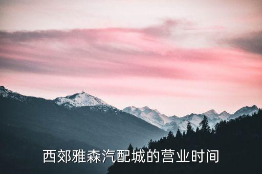 西郊雅森汽配城的营业时间