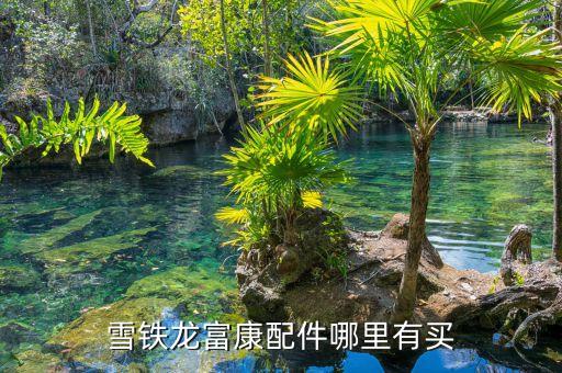 金沙汽配城雪铁龙配件，东风雪铁龙爱丽舍老款配件油气转换器那里有买的