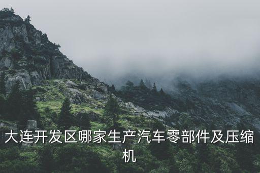 大连开发区哪家生产汽车零部件及压缩机