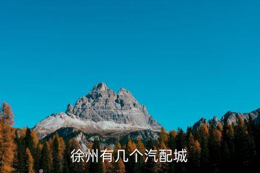 徐州有几个汽配城