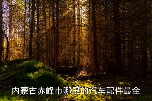 内蒙古赤峰市哪里的汽车配件最全