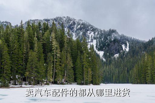 卖汽车配件的都从哪里进货
