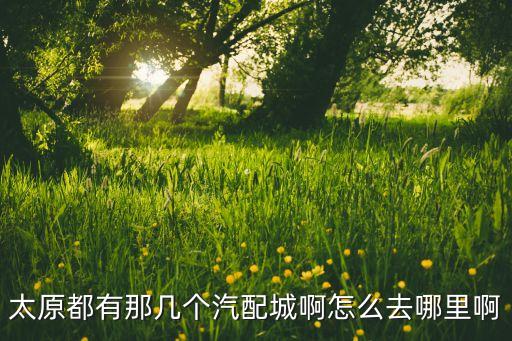 太原三大汽配城，太原都有那几个汽配城啊怎么去哪里啊