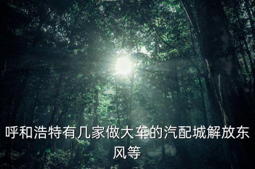 呼和浩特有几家做大车的汽配城解放东风等