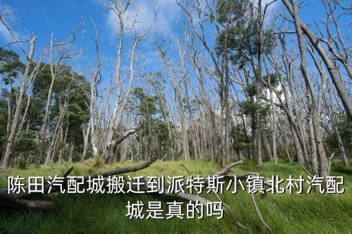 上海陈田汽车配件，丰田普瑞维亚左前门拆车哪有