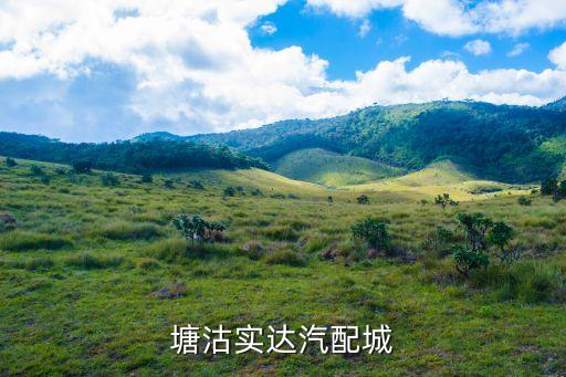 塘沽实达汽配城
