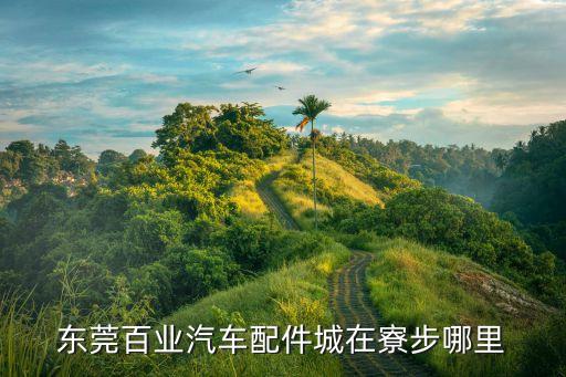 东莞百业汽车配件城在寮步哪里